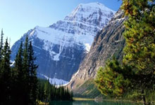 天涯神贴真实身份：孤勇者的隐身极客与烟火人间的日常对位